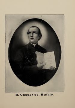 The Society Of The Missionary Fathers Of The Most Precious Blood 1907 Cover