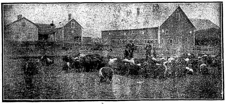 A view of the Kleinhenz farm buildings