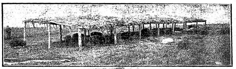 Summer shelter in pasture field